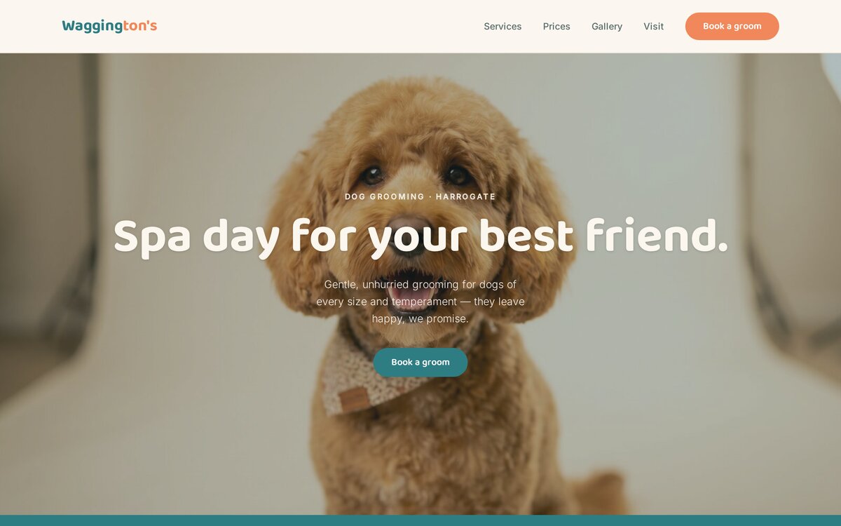 The Waggington's homepage — 'Spa day for your best friend' over a happy groomed cockapoo
